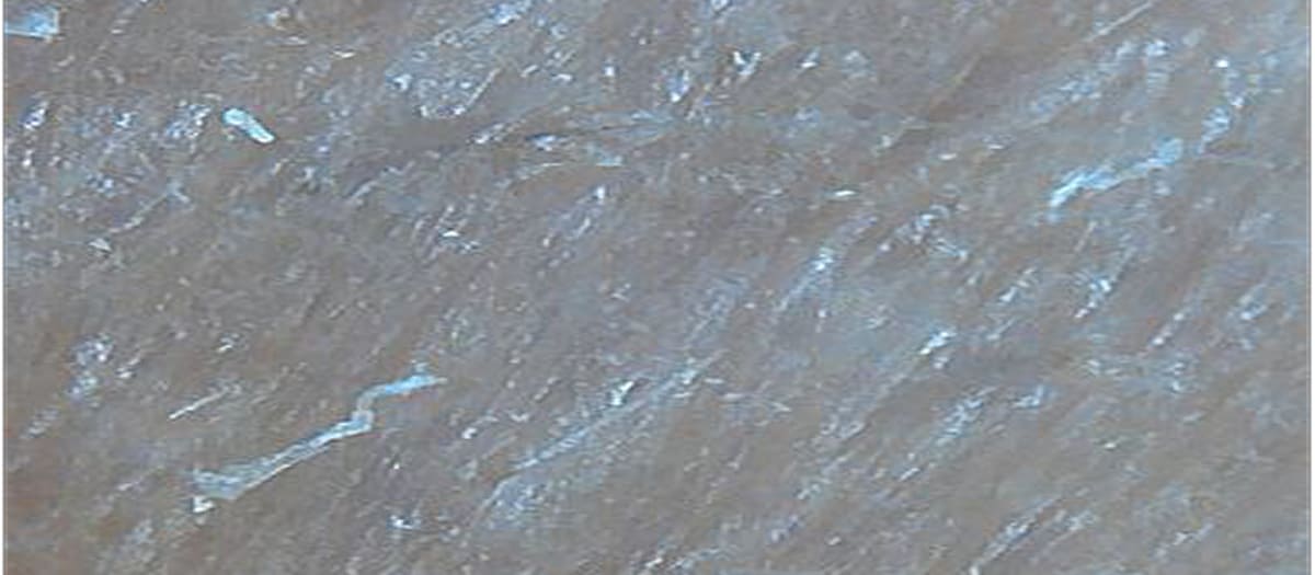 TRANSCOL BUBBLE H-09